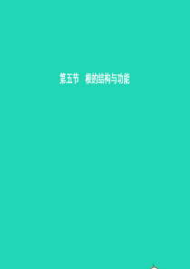 八年级生物上册 第四单元 第一章 第五节 根的结构与功能（第1课时 根的生长）课件 （新版）济南版