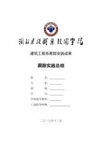 项目施工跟踪实践总结模版
