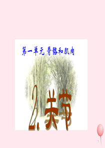 四年级科学下册 1.2关节课件1 苏教版