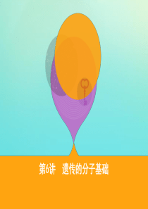 2020届高三生物二轮复习 第6讲 遗传的分子基础课件
