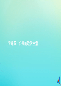 2020届高考政治一轮复习 专题五 公民的政治生活课件