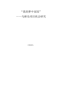 项目机会研究实例
