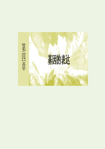 2020高中生物 第四章 基因的表达 1 基因指导蛋白质的合成课件 新人教版必修2