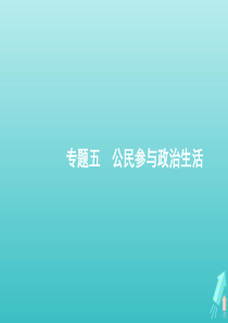 2020高考政治二轮复习 专题五 公民参与政治生活课件