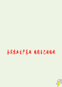 2020高考政治 备考最新时政速递 夯实农业生产基础 端稳自己的饭碗课件