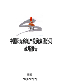 中国阳光房地产投资集团公司战略报告