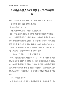 公司财务负责人2021年度个人工作总结范文