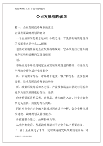 公司发展战略规划