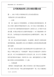 公司机构改革人员分流安置办法