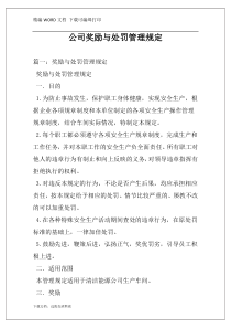 公司奖励与处罚管理规定