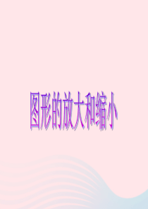 2020春六年级数学下册 二 比例 4图形的放大和缩小课件 北师大版