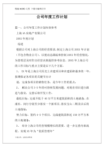 公司年度工作计划