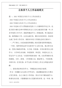 公务员个人工作总结范文