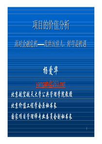 项目的价值 杨爱华