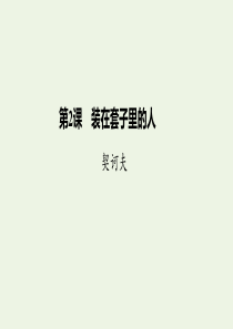 2020版高中语文 第一单元 第2课 装在套子里的人课件 新人教版必修5