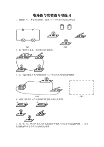 电路图与实物图专项练习(人教九年级)