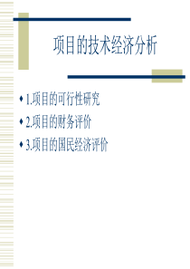 项目的技术经济分析