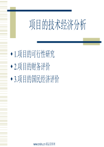 项目的技术经济分析培训(2)