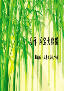 《国宝大熊猫》PPT课件