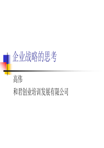 企业战略思考(资料)