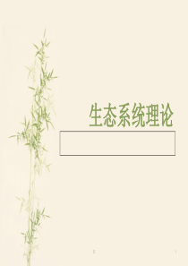 生态系统理论讲解