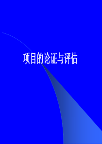 项目的论证与评估