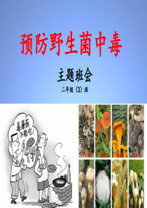 预防野生菌中毒