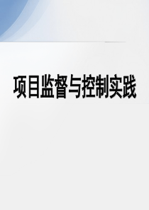项目监督与控制