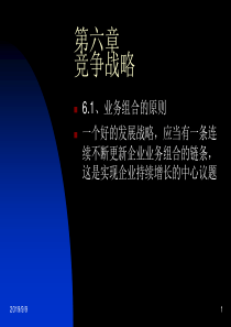 企业战略第六章