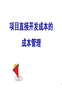 项目直接开发成本管理