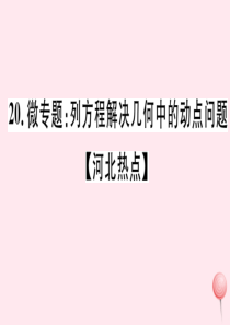 2019秋七年级数学上册 微专题 列方程解决几何中的动点问题（河北热点）课件（新版）冀教版