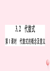 2019秋七年级数学上册 第三章 代数式 3.2 代数式第1课时 代数式的概念及意义习题课件（新版）