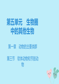 2019秋八年级生物上册 第五单元 生物圈中的其他生物 第一章 动物的主要类群 第三节 软体动物和节