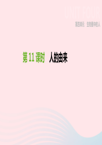 2019年中考生物 专题复习四 生物圈中的人 第11课时 人的由来课件 新人教版