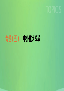 2019年中考历史二轮专题复习 专题5 中外重大改革课件