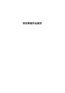 项目简报