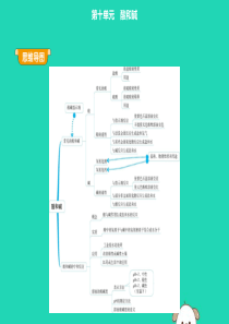 2019年九年级化学下册 第十单元 酸和碱 课题1 常见的酸和碱课件 （新版）新人教版