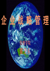 企业战略管理(第6章)3