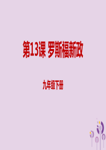 2019年春九年级历史下册 第四单元 经济大危机和第二次世界大战 4.13 罗斯福新政课件 新人教版