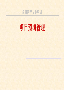 项目管理(项目预研