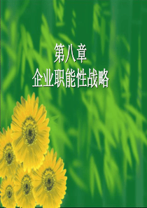 企业战略管理教程(第二版)第08章