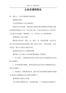 公务员调研报告