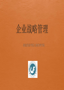 企业战略管理第三章_2