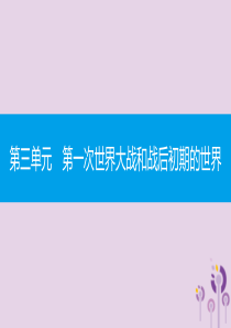 2019春九年级历史下册 第三单元 第一次世界大战和战后初期的世界 第8课 第一次世界大战课件 新人