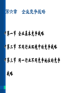 企业战略管理课件6