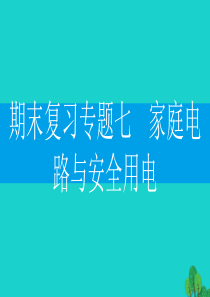 2019-2020学年九年级物理下册 期末复习专题七 家庭电路与安全用电课件（新版）粤教沪版