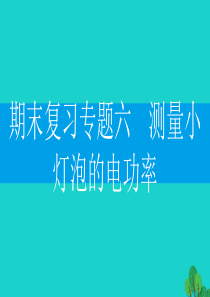 2019-2020学年九年级物理下册 期末复习专题六 测量小灯泡的电功率课件（新版）粤教沪版