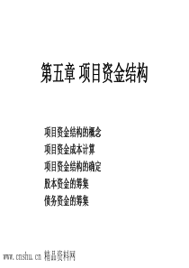 项目管理——项目资金结构