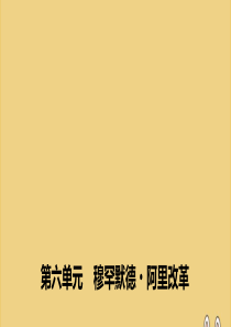 2019-2020学年高中历史 第六单元 穆罕默德•阿里改革 第3课 改革的后果课件 新