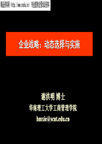 企业战略：动态选择与实施